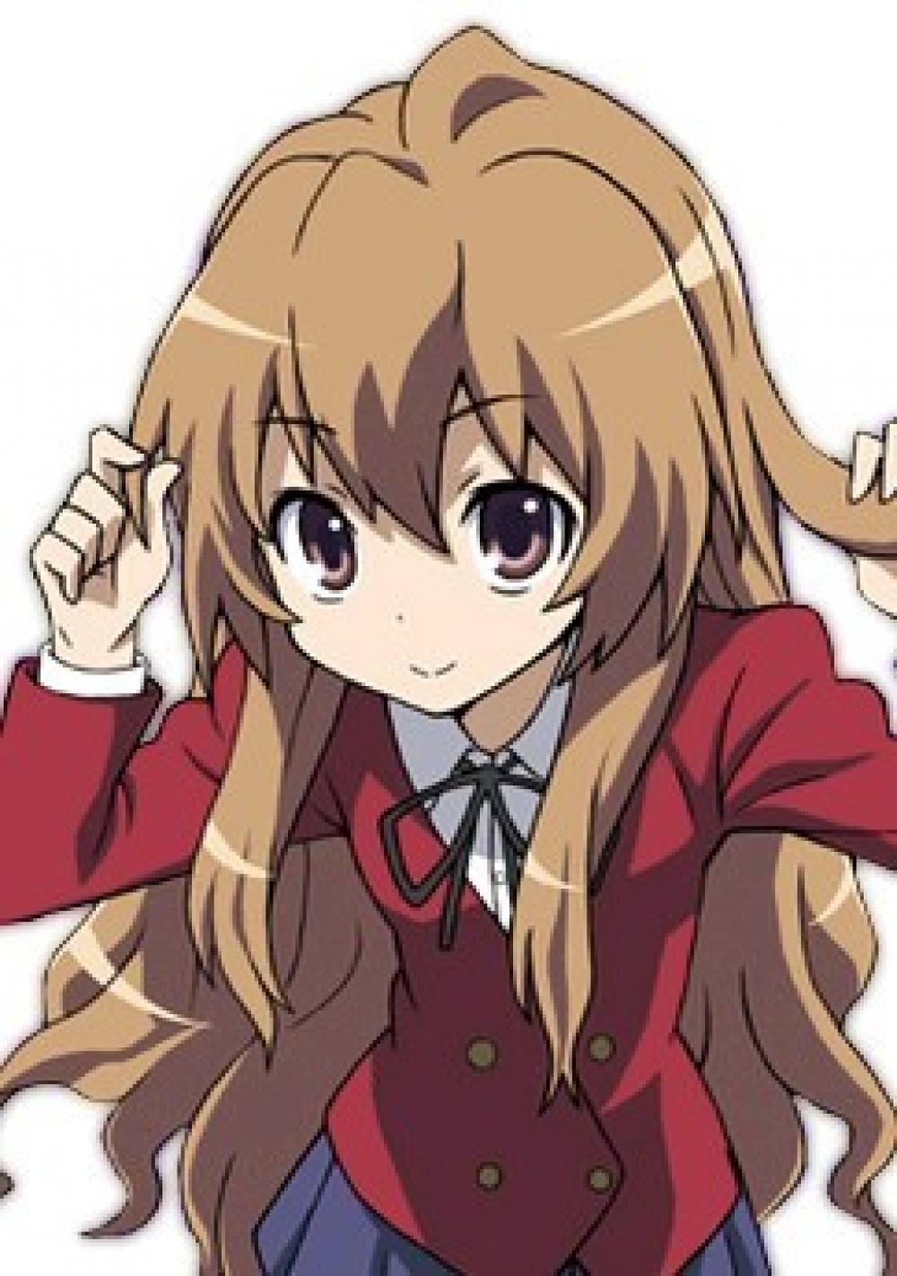 Taiga Aisaka character