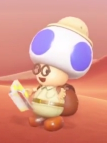 Hint Toad