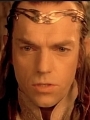 Elrond wig from The Hobbit
