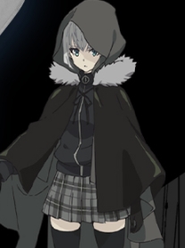 Gray wig from The Case Files of Lord El-Melloi II