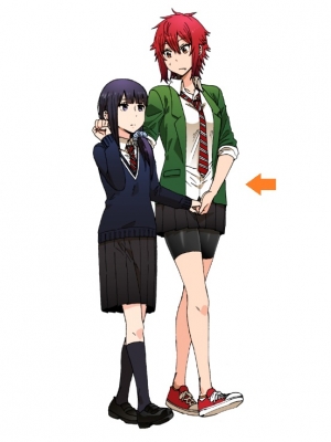  MaYng Women's Anime Tomo-chan Is a Girl! Cosplay Tomo