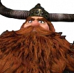 Stoick the Vast wig from How to Train Your Dragon